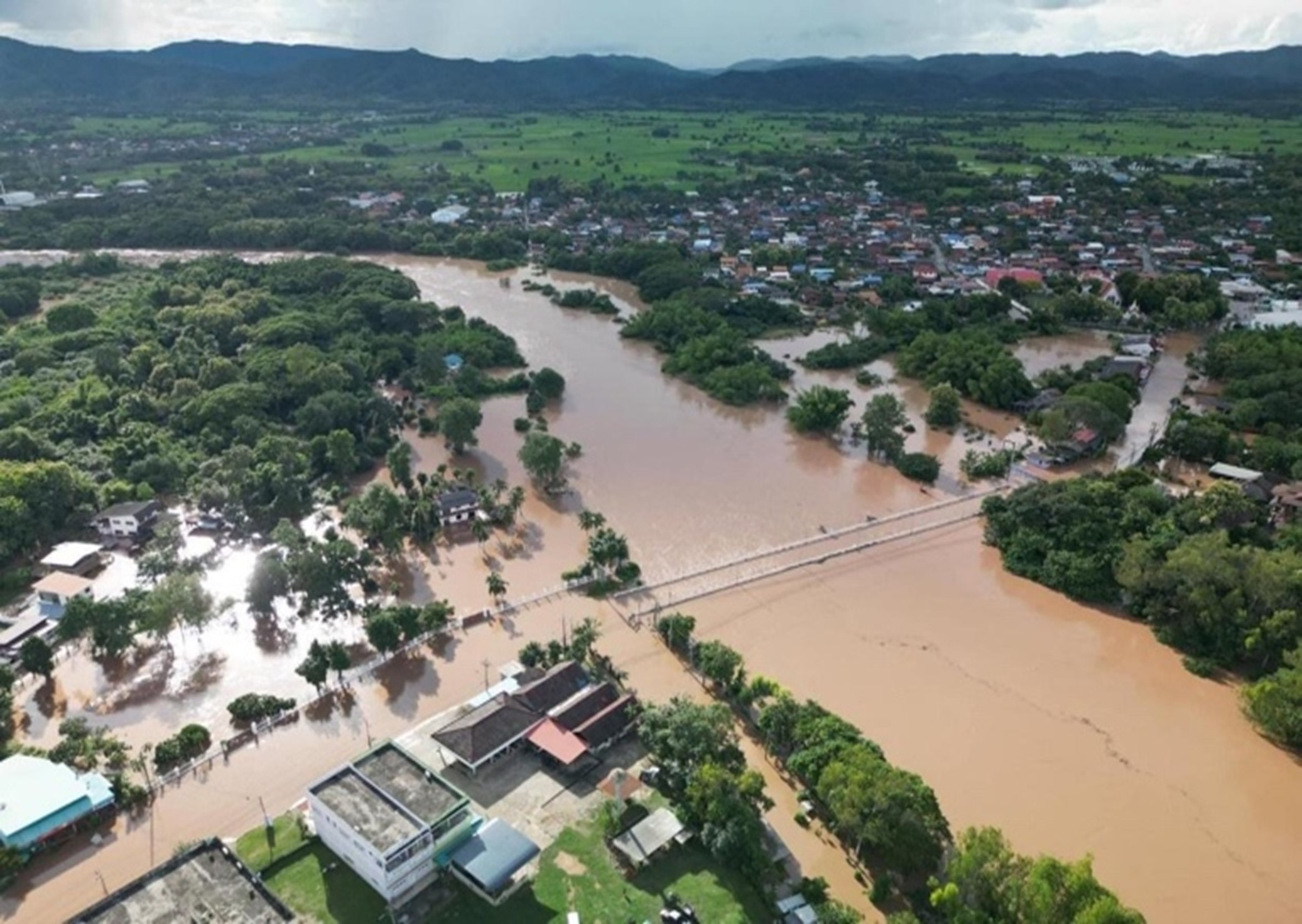 เรื่องเล่า  เคียงข้างไม่ทิ้งกันน้ำตาฟ้า